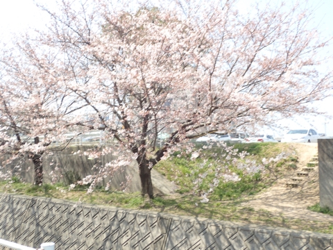iPhoneImage.png