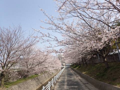 iPhoneImage.png