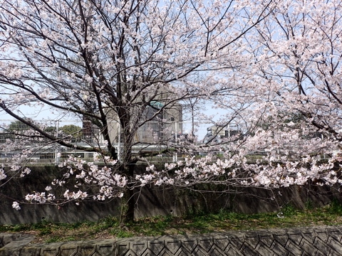 iPhoneImage.png