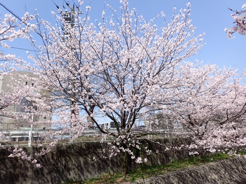 iPhoneImage.png