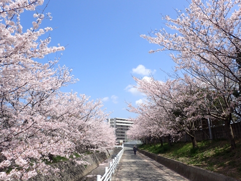 iPhoneImage.png