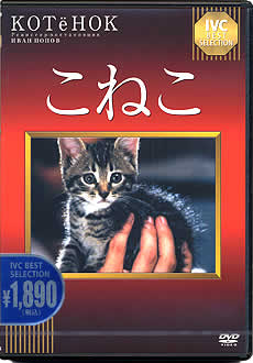 DVD¡Ö¤³¤Í¤³¡×¿·ÁõÈÇ