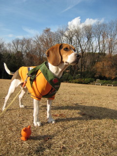 空気が冷たい12月