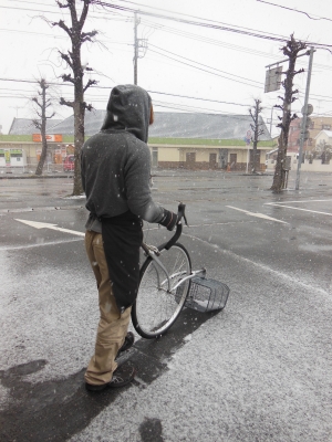 自転車少女->画像>211枚 