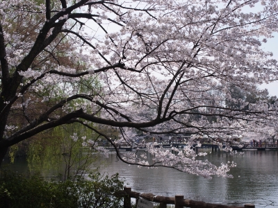R0015011.JPG