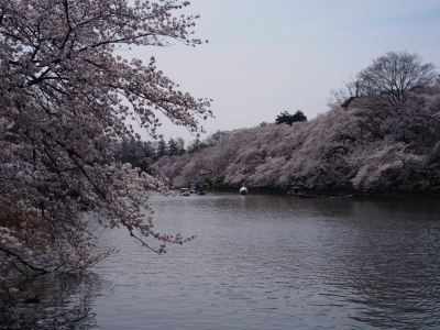 R0015017.JPG