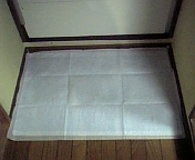 20070131_289566.jpg