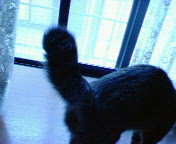 NEC_0230.jpg