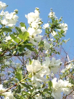 CA3F07070001.jpg