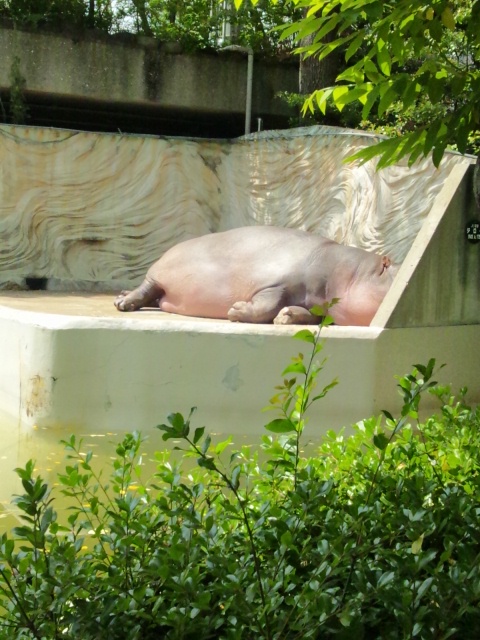 DSC_0881.JPG