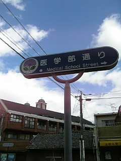 idai