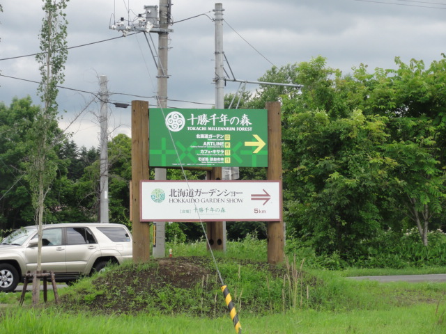 284.JPG