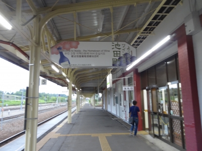 648.JPG