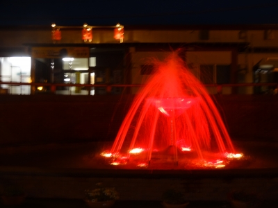 683.JPG