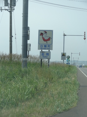 778.JPG