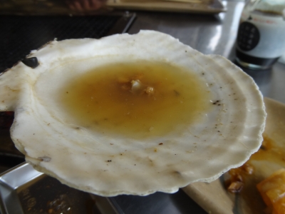 770.JPG