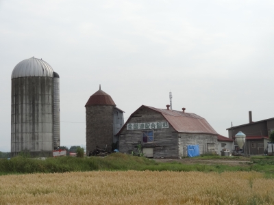 847.JPG