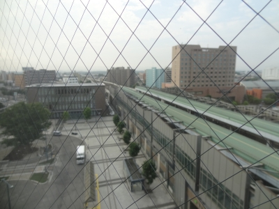 946.JPG