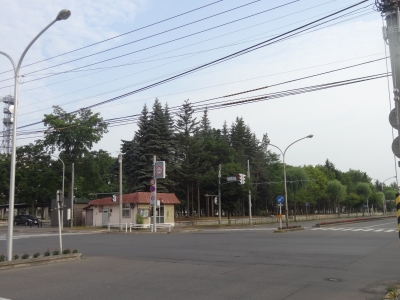 954.JPG
