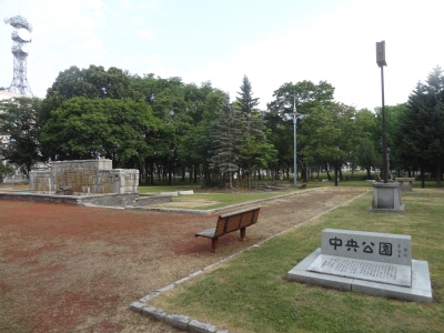 960.JPG
