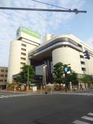 965.JPG