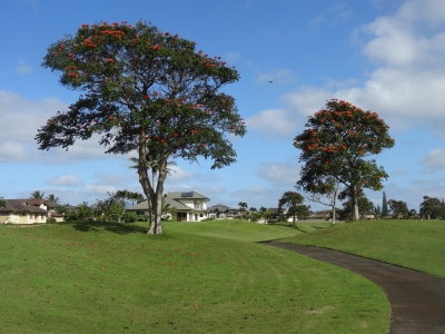 2166.JPG