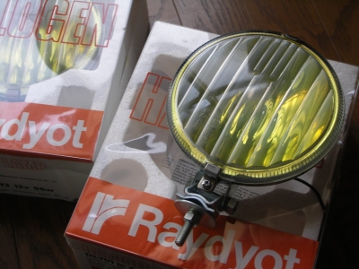 Raydyot DL701