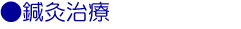 いとう鍼灸接骨院の鍼灸治療(保険外診療)について