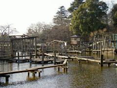 清水公園.jpg