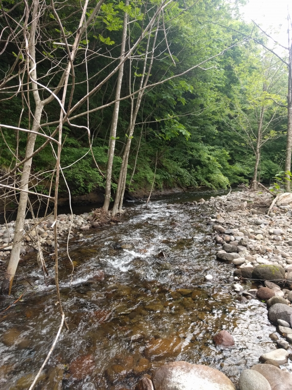 IMG_20170614_100050.jpg