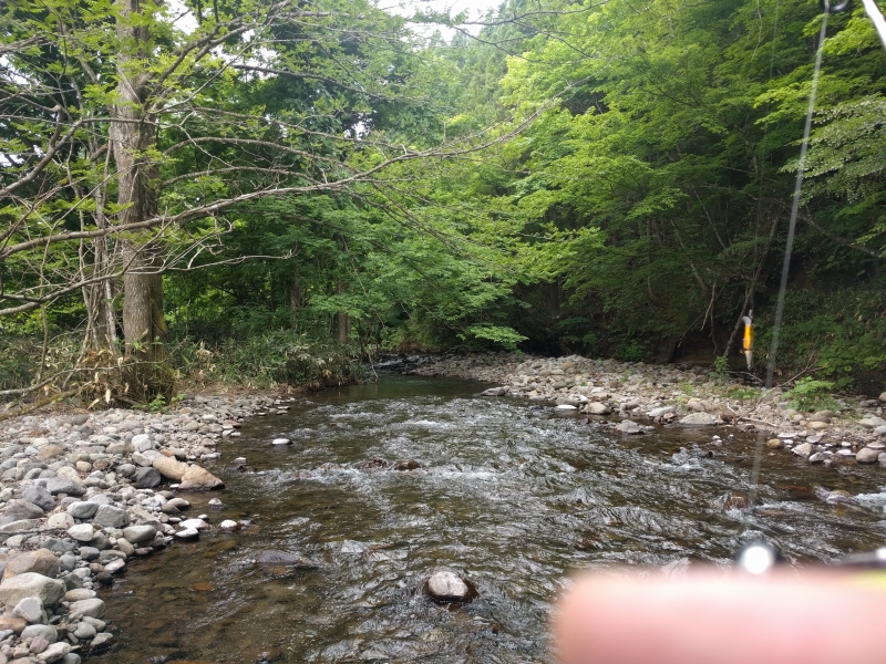 IMG_20170614_100058.jpg