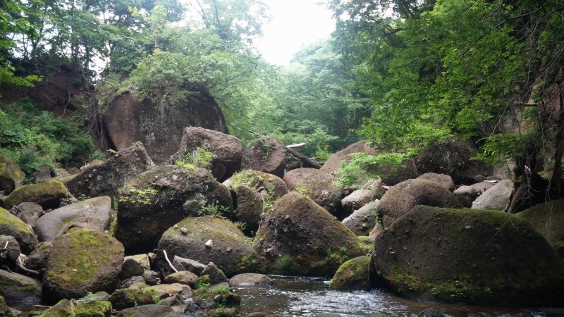 IMG00633.jpg