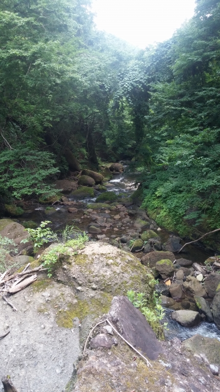 IMG00634.jpg