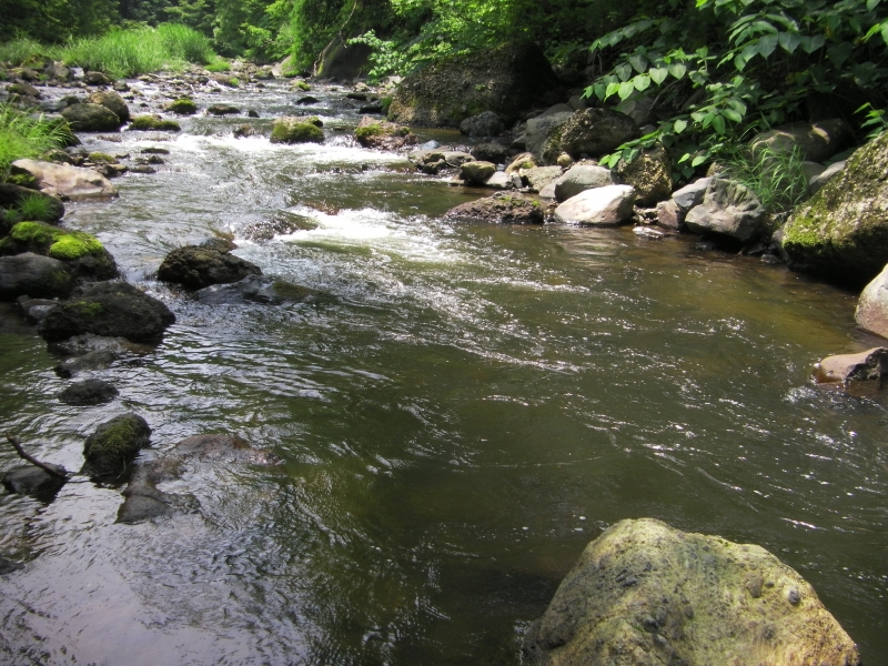 SANY0004.JPG
