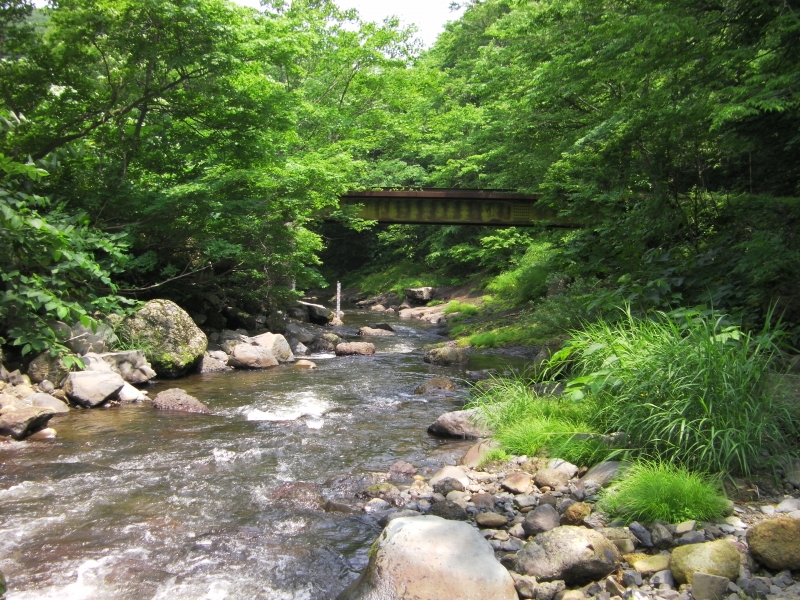 SANY0006.JPG