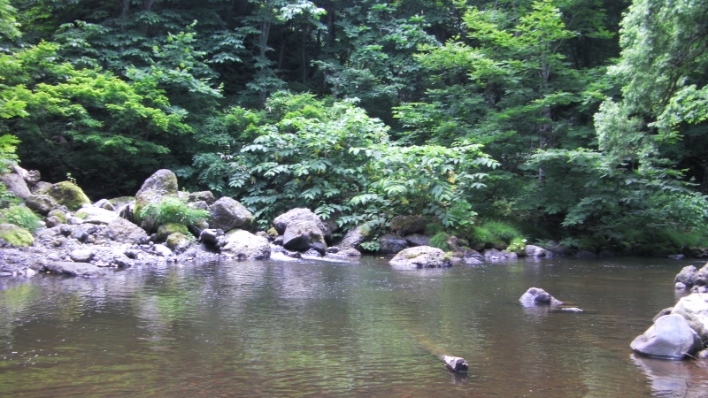 SANY0007.JPG