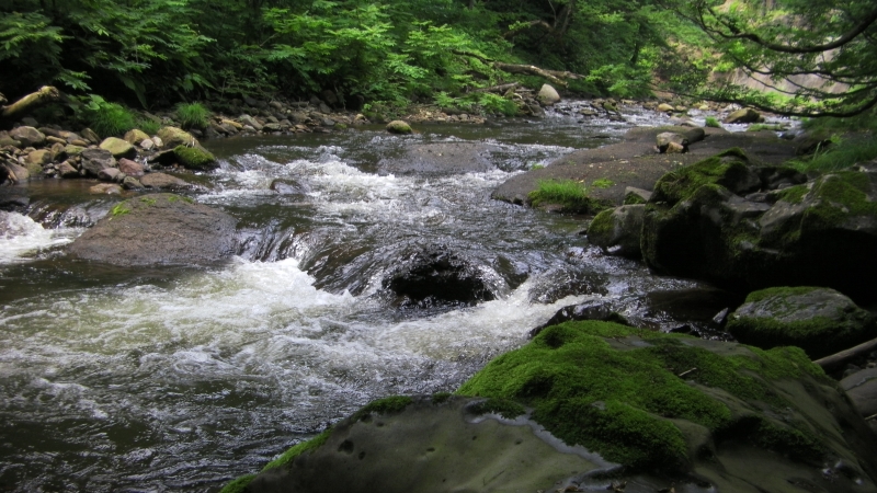 SANY0008.JPG
