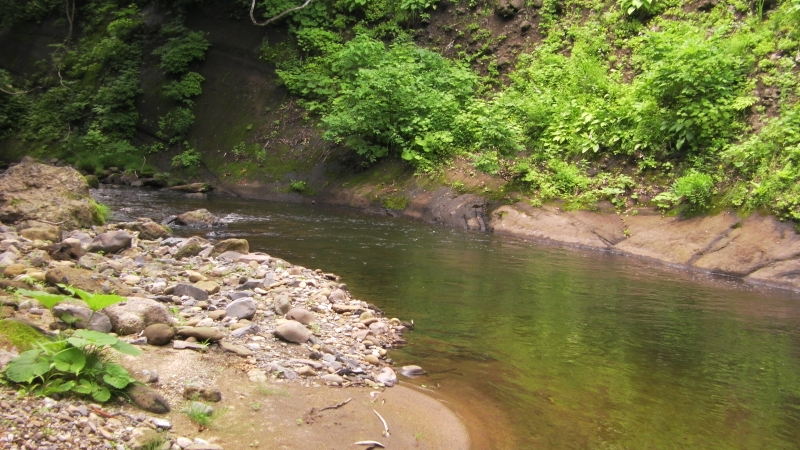 SANY0009.JPG