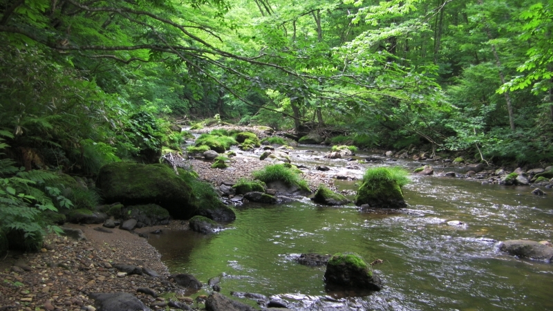 SANY0010.JPG