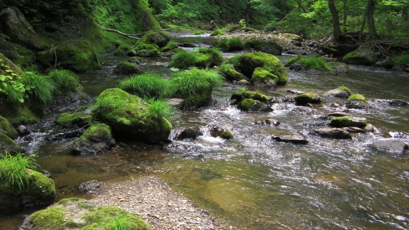 SANY0012.JPG