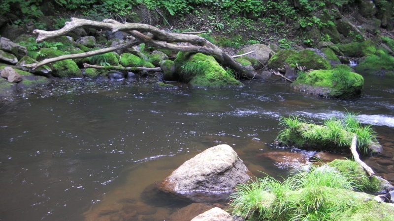 SANY0014.JPG