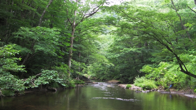 SANY0017.JPG