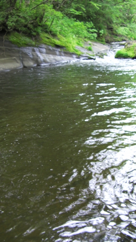 SANY0020.JPG