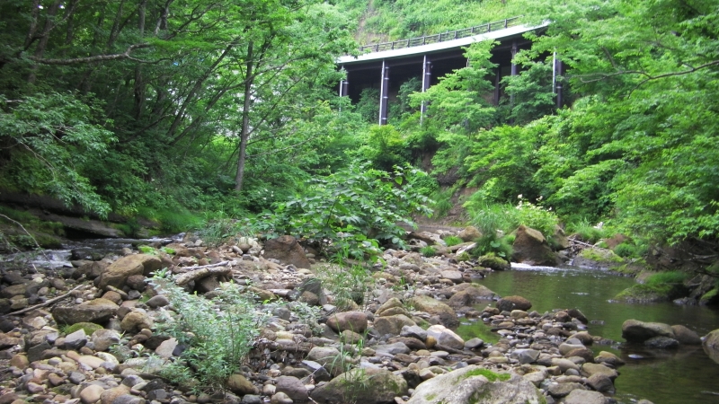 SANY0021.JPG