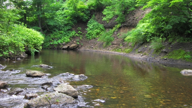 SANY0022.JPG