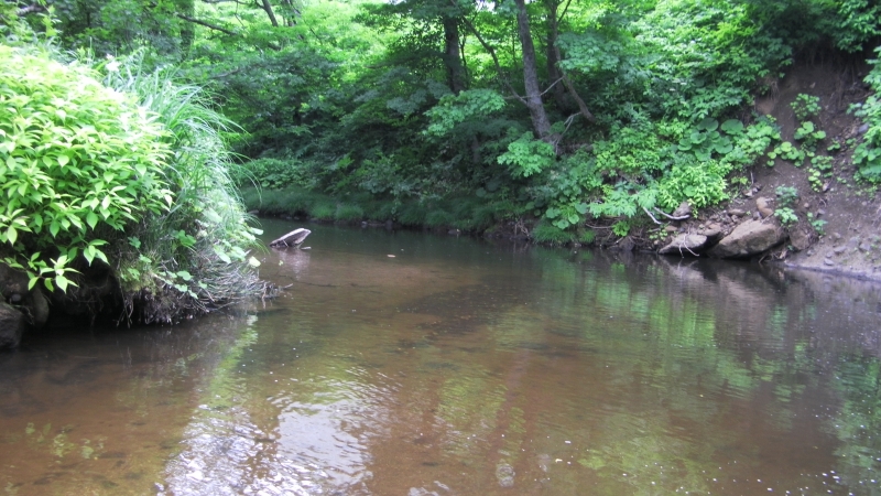 SANY0023.JPG