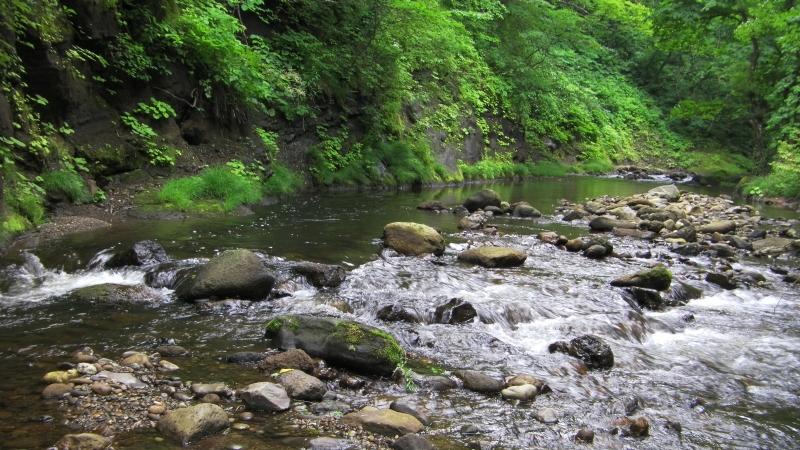 SANY0025.JPG
