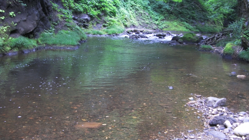 SANY0028.JPG