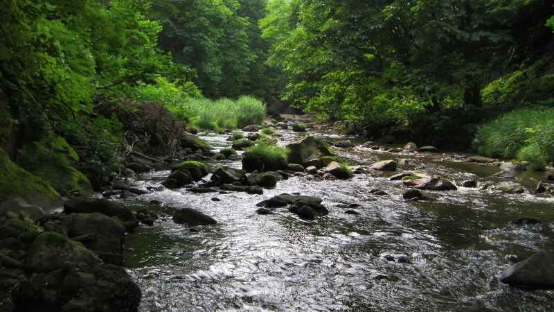 SANY0035.JPG