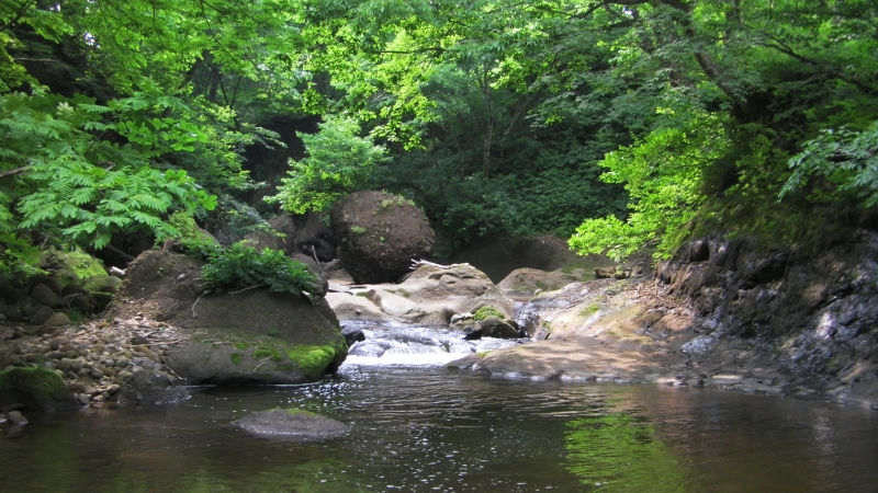 SANY0037.JPG